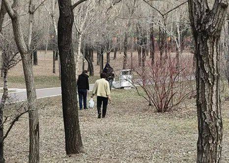 怎么开通皇冠信用开户_哈尔滨人注意！你挖的婆婆丁怎么开通皇冠信用开户，可能“价值”500元…