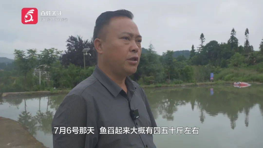 英超足球联赛
_贵阳一男子连人带车冲进鱼塘！塘主：鱼死了不少英超足球联赛
，车主：我当时正在……