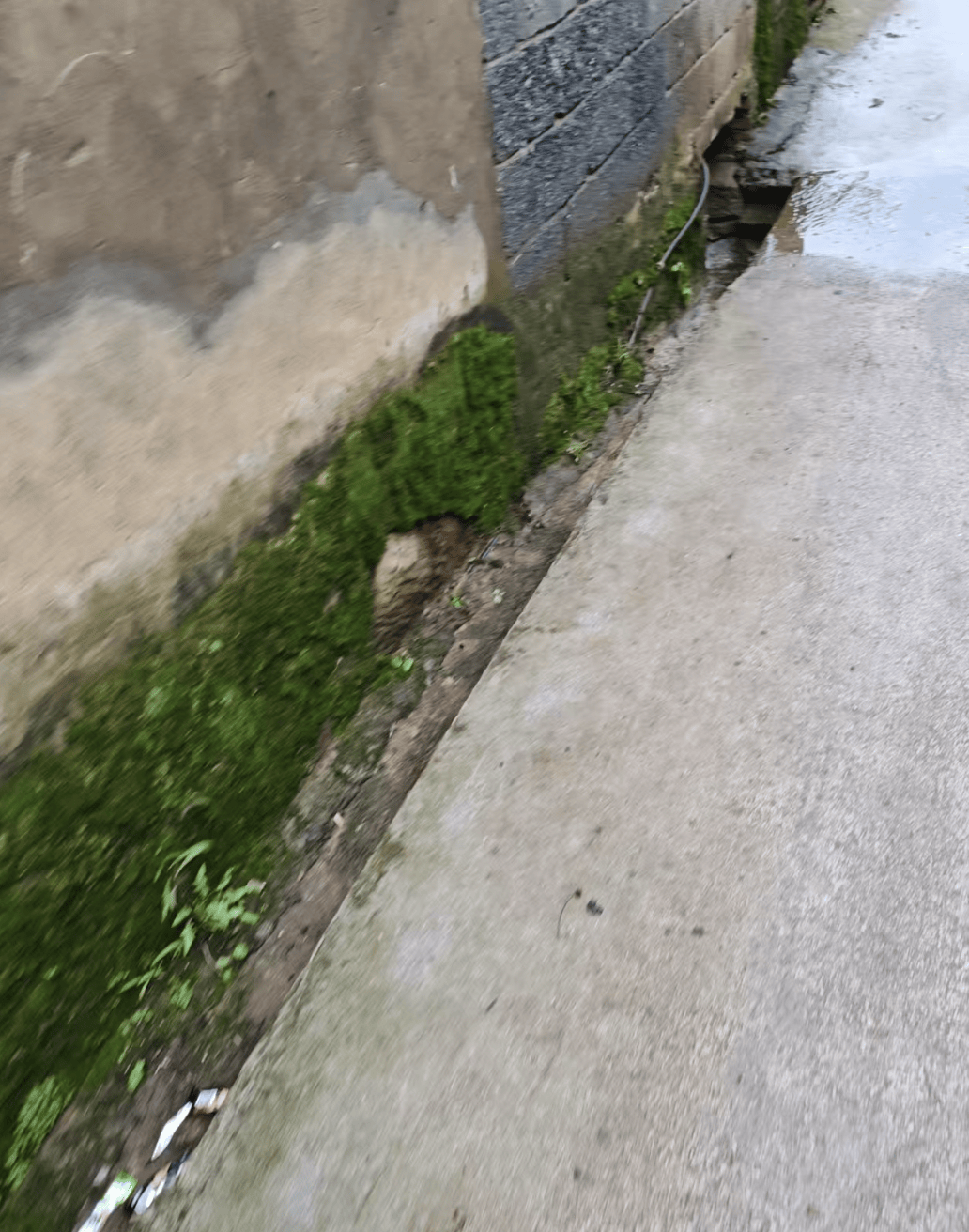 五大联赛什么时候回归 
_云南曲靖一女孩被同班男生送回家途中杀害五大联赛什么时候回归 
，当地警方介入，家属发声