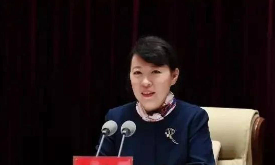 AC米兰vs克雷莫内塞
_“换装主席”王莉霞的堕落：从光鲜人设到腐败深渊