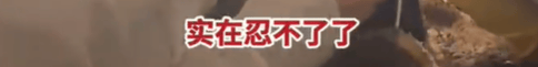 皇冠登1登2登3代理_高铁上因邻座男童长时间踢座皇冠登1登2登3代理，女子写管不住小孩别带，被家长怼哭