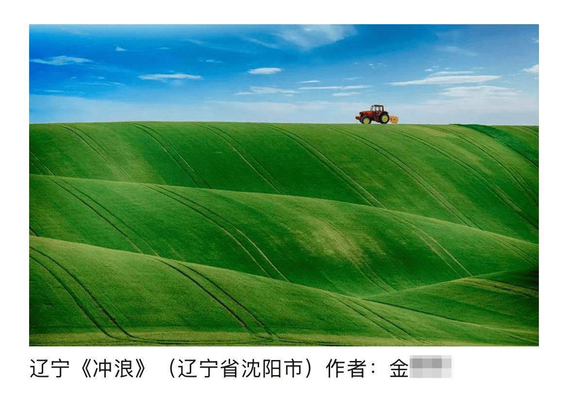 皇冠信用网开号_辽宁传媒学院一教师摄影作品涉嫌抄袭被取消入展资格皇冠信用网开号，同校美术系主任此前被认定抄袭