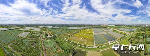 皇冠足球平台在哪里注册
_荒滩变绿洲 湖畔起乐园｜一江碧水向东流