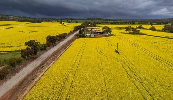 莱斯特城 vs 米德尔斯堡
_澳大利亚给中国发货莱斯特城 vs 米德尔斯堡
，加拿大农民急了