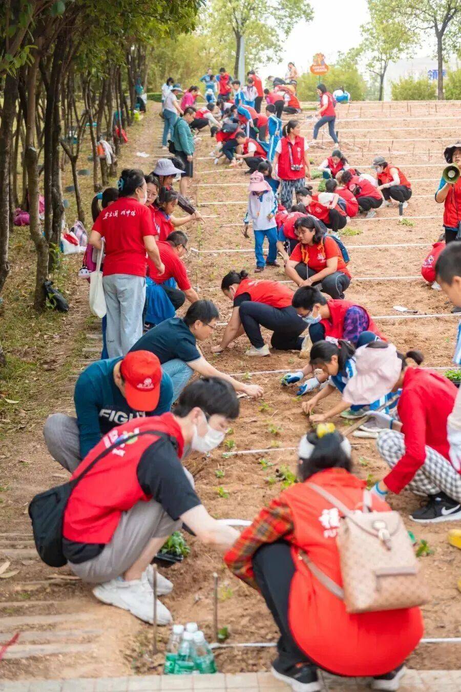 皇冠信用網结算日
_深圳市中心竟有一大片“红薯地”皇冠信用網结算日
！官方紧急提醒：请勿私挖