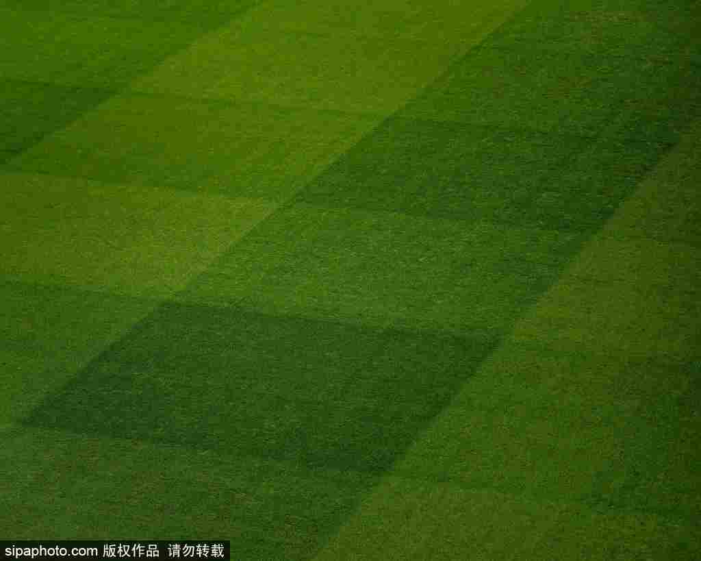 南非足球世界杯
_足协杯决赛票务争夺战:河南球迷购票超两万南非足球世界杯
,北京球迷面临一票难求