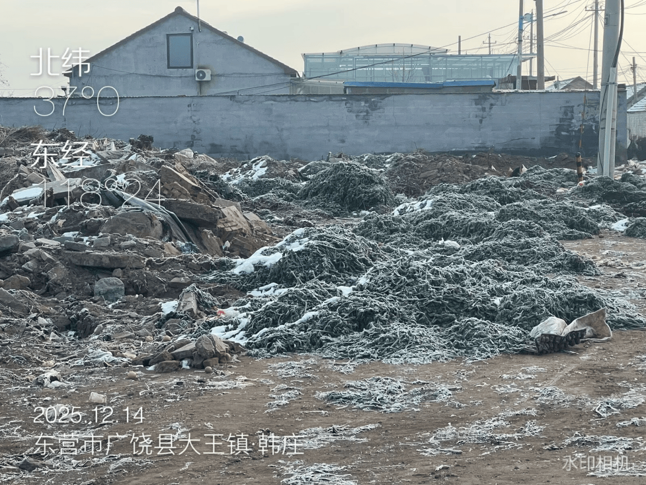 皇冠信用网代理登1_广饶县：农村人居环境亟待提升