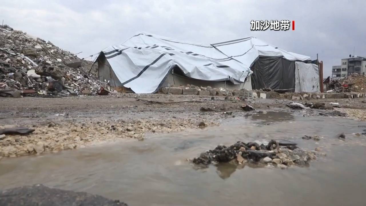 皇冠信用网登3代理_最新皇冠信用网登3代理!法国、英国、加拿大、丹麦、芬兰等十国外长发布联合声明