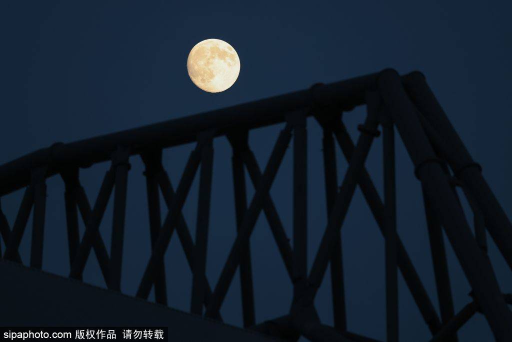 世界杯皇冠信用网平台_斯洛特换人引众怒世界杯皇冠信用网平台,利物浦球迷大失所望:0-0平局背后的战术失误与球迷心声